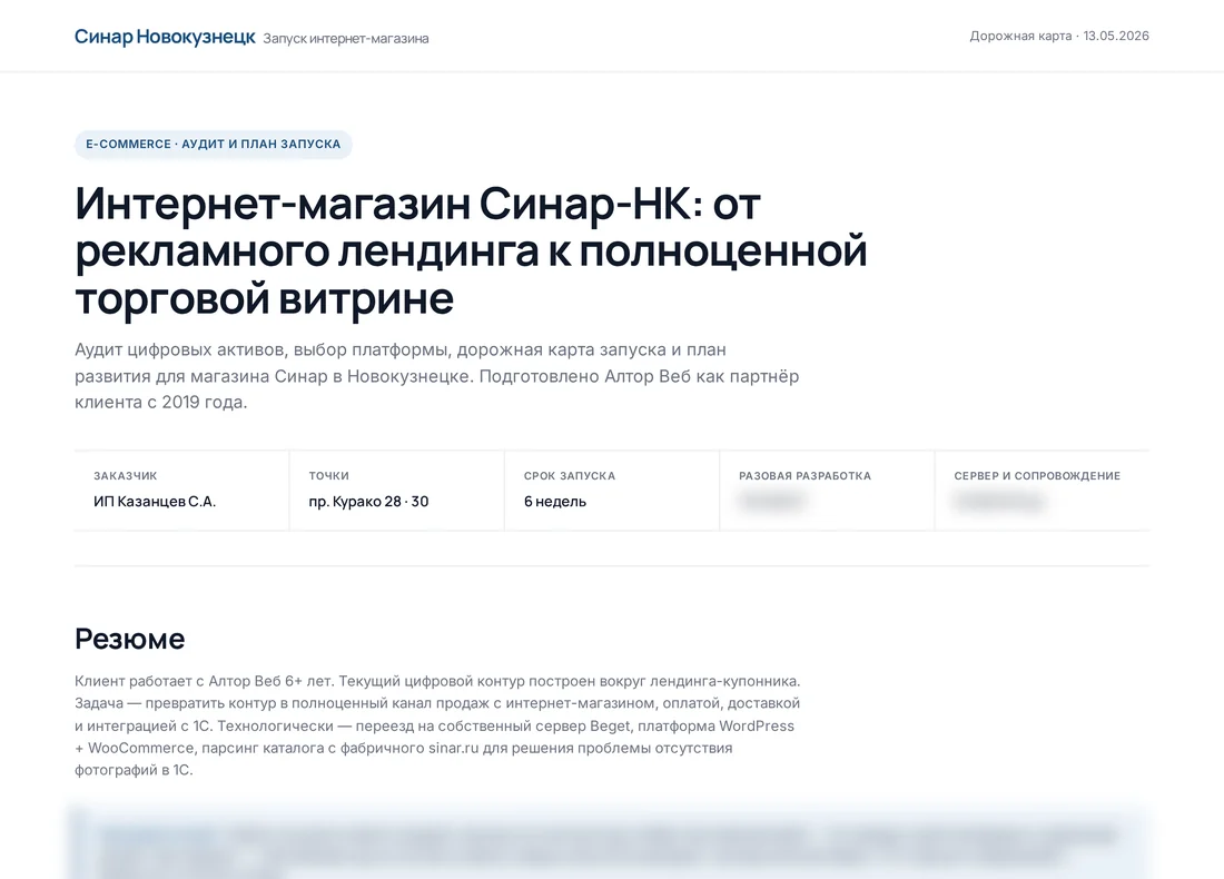 Дорожная карта «Синара»: шапка документа, строка фактов и резюме